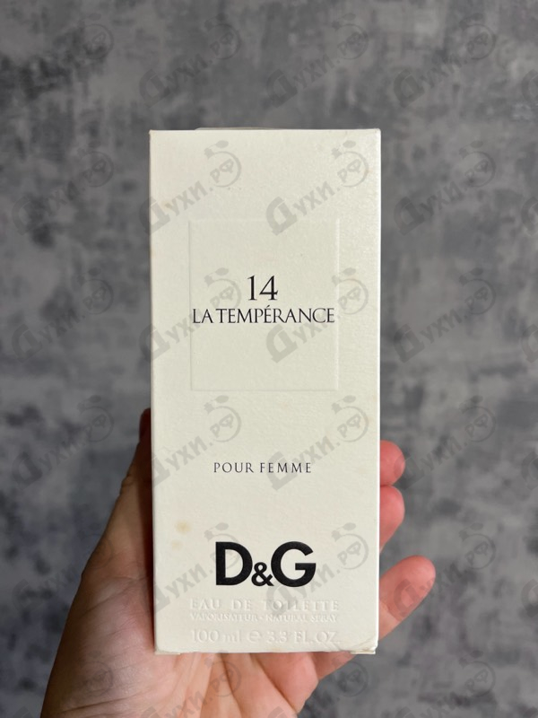 Купить 14 La Temperance от Dolce & Gabbana