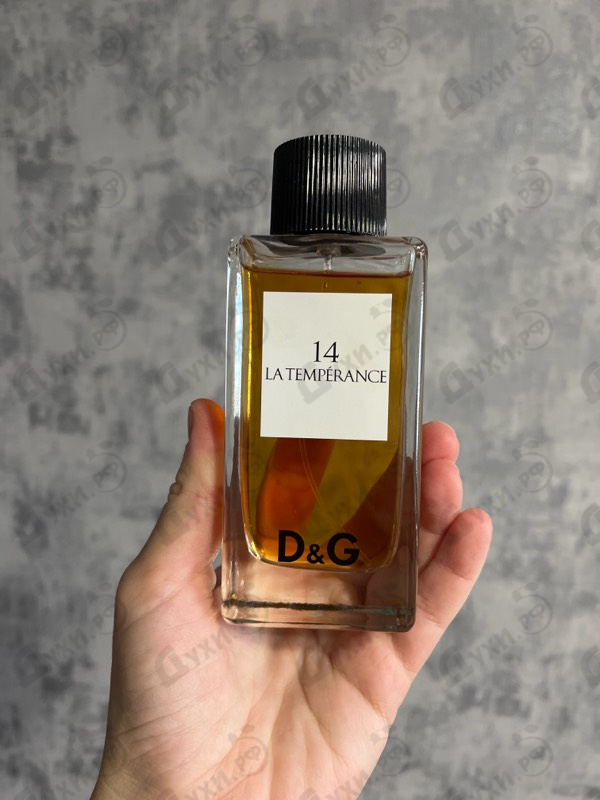 Купить 14 La Temperance от Dolce & Gabbana