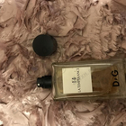 Отзывы Dolce & Gabbana 14 La Temperance