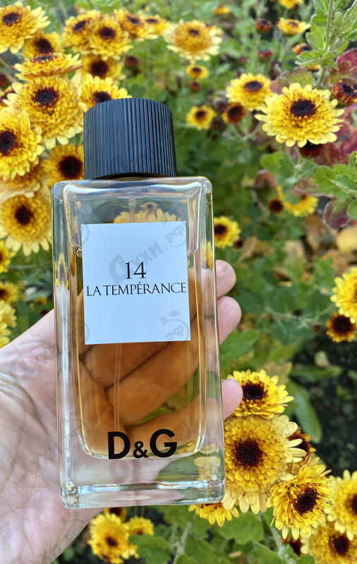 Духи 14 La Temperance от Dolce & Gabbana