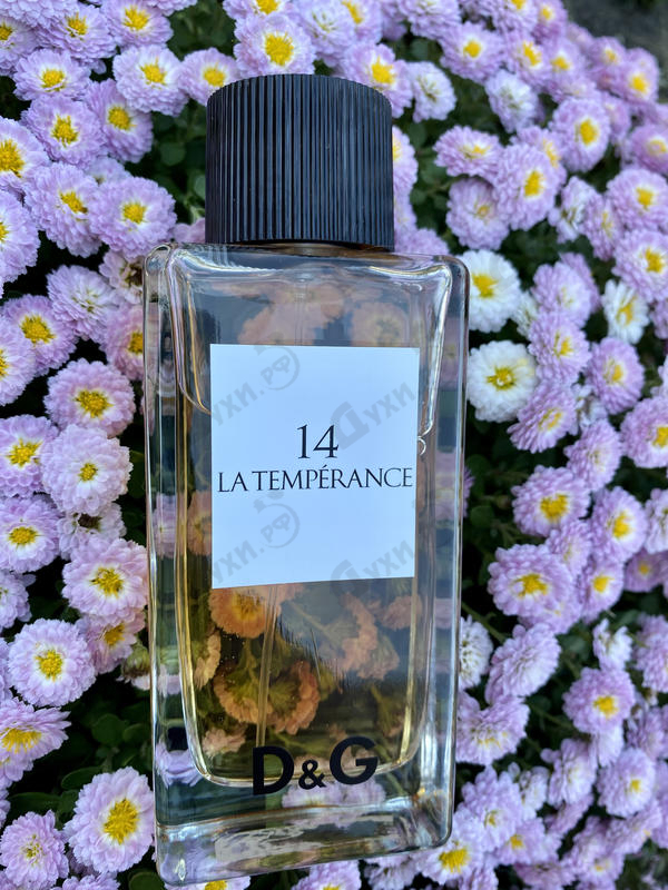 Купить Dolce & Gabbana 14 La Temperance Духи 14 La Temperance от Dolce & Gabbana