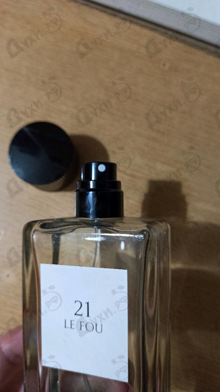 Отзывы Dolce & Gabbana 21 Le Fou