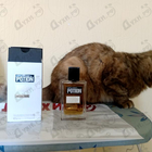 Парфюм Dsquared2 Potion