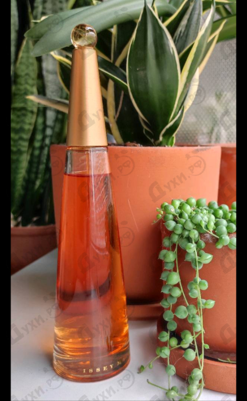 Купить L'eau D'issey Absolue от Issey Miyake