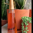 Отзывы Issey Miyake L'eau D'issey Absolue