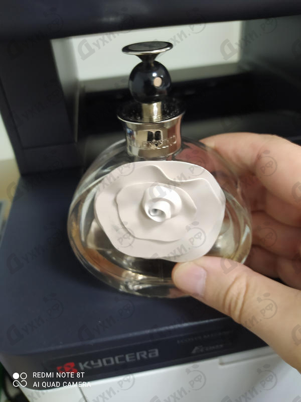 Купить Valentina от Valentino