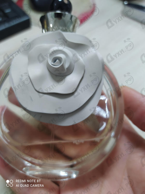 Купить Valentino Valentina