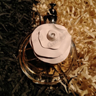 Отзыв Valentino Valentina