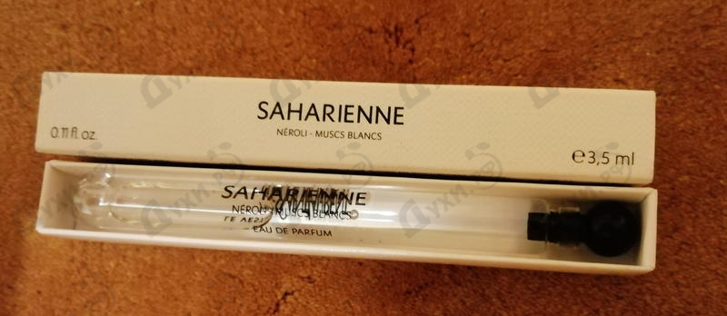 Купить Yves Saint Laurent Saharienne