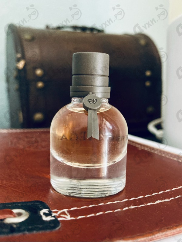 Купить Bottega Veneta от Bottega Veneta