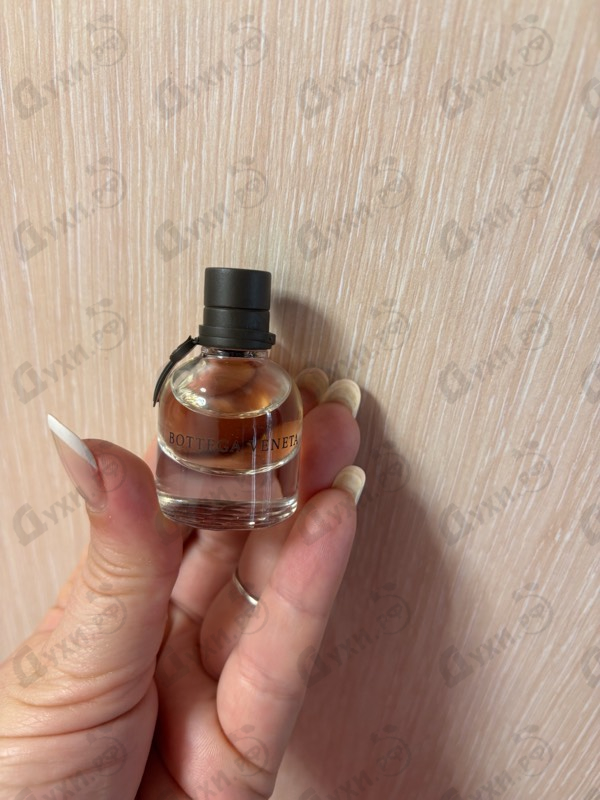 Купить Bottega Veneta от Bottega Veneta