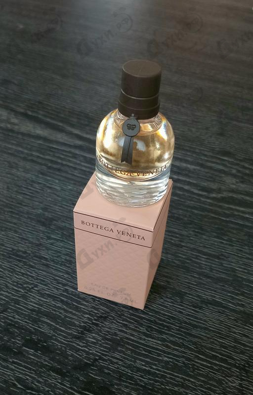 Купить Bottega Veneta от Bottega Veneta