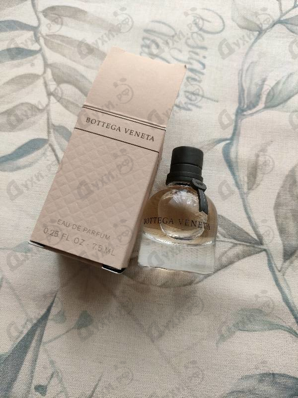 Купить Bottega Veneta от Bottega Veneta