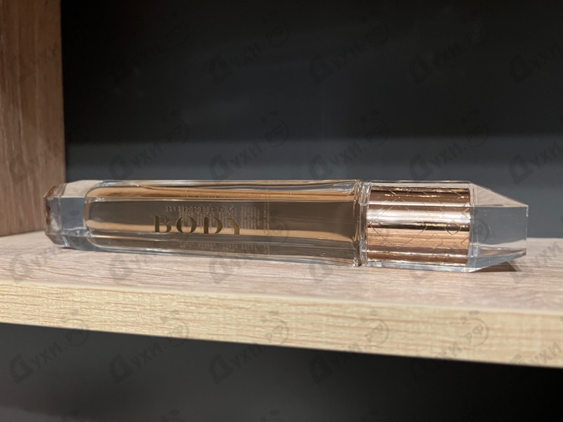 Купить Body Intense от Burberry Отзыв Burberry Body Intense