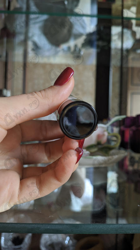 Купить Body Intense от Burberry Купить Burberry Body Intense