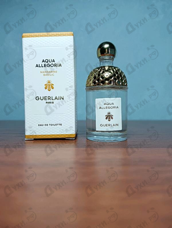 Парфюмерия Aqua Allegoria Mandarine Basilic от Guerlain Отзывы Guerlain Aqua Allegoria Mandarine Basilic