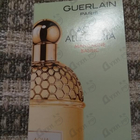 Отзывы Guerlain Aqua Allegoria Mandarine Basilic