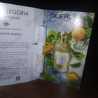 Отзывы Guerlain Aqua Allegoria Mandarine Basilic