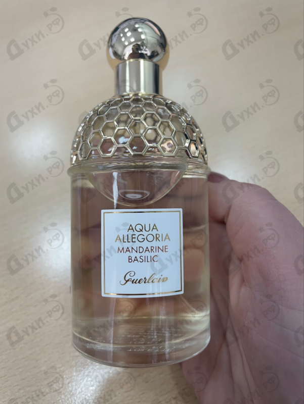 Купить Guerlain Aqua Allegoria Mandarine Basilic