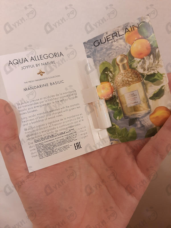 Купить Aqua Allegoria Mandarine Basilic от Guerlain