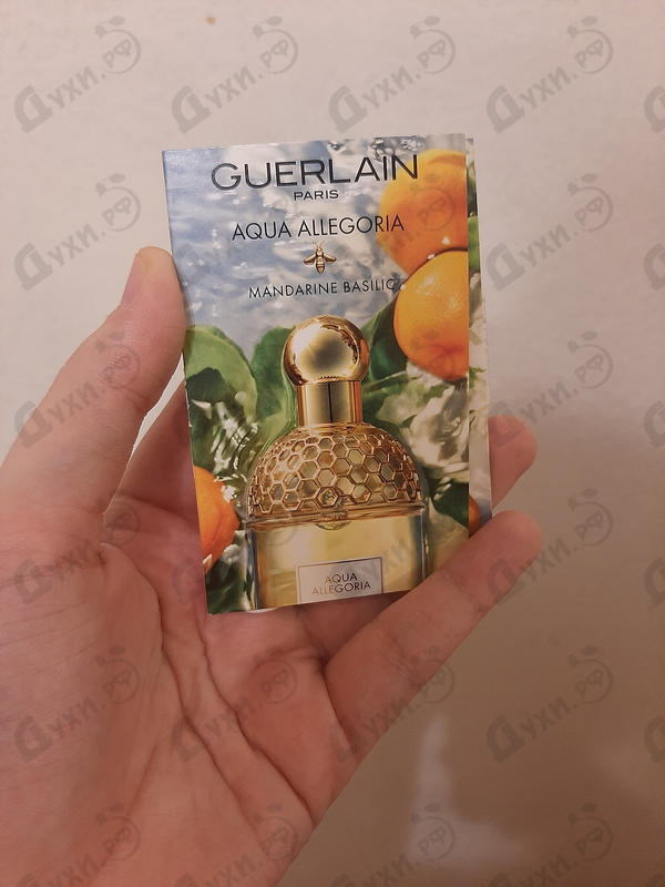 Духи Aqua Allegoria Mandarine Basilic от Guerlain