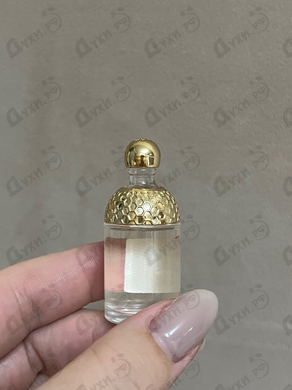 Духи Aqua Allegoria Mandarine Basilic от Guerlain