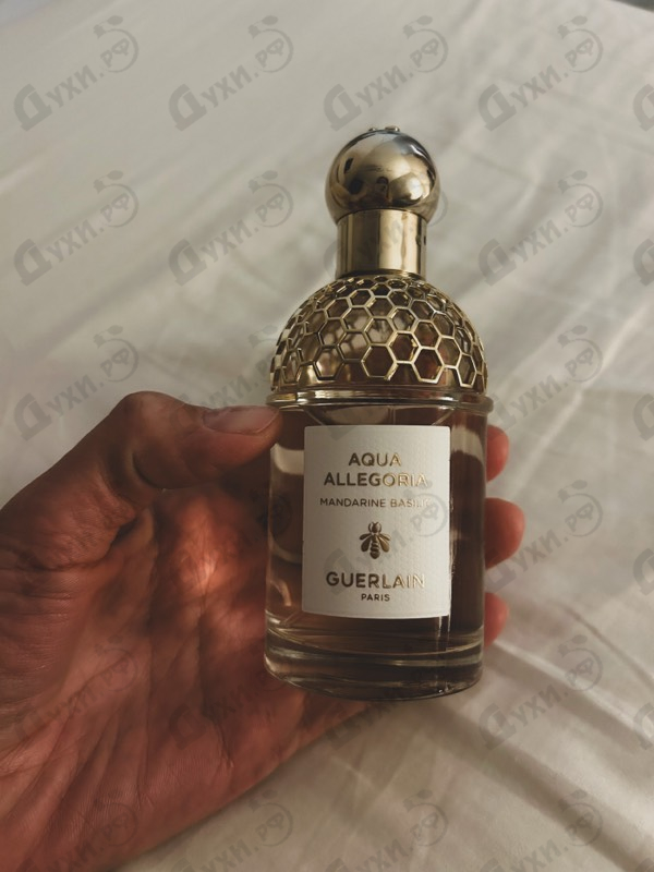 Отзывы Guerlain Aqua Allegoria Mandarine Basilic