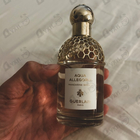 Отзывы Guerlain Aqua Allegoria Mandarine Basilic