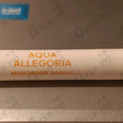 Духи Aqua Allegoria Mandarine Basilic от Guerlain