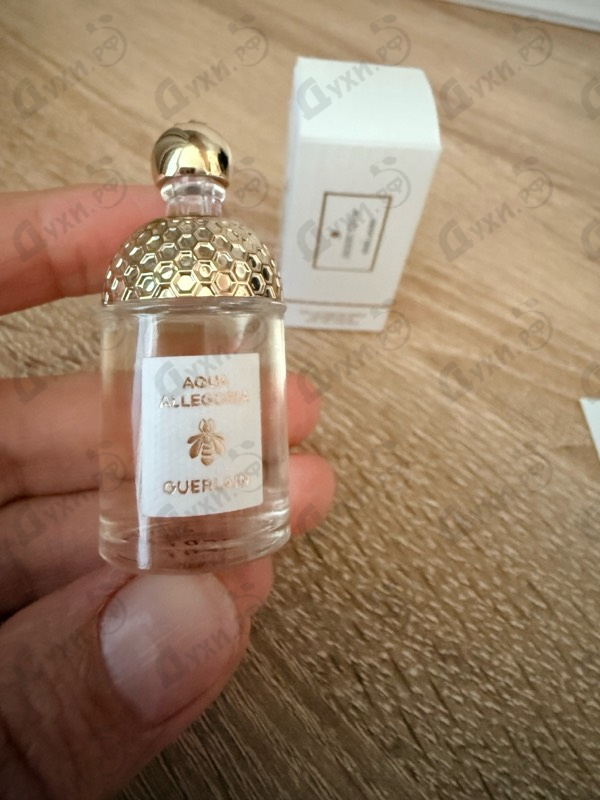 Парфюмерия Aqua Allegoria Mandarine Basilic от Guerlain