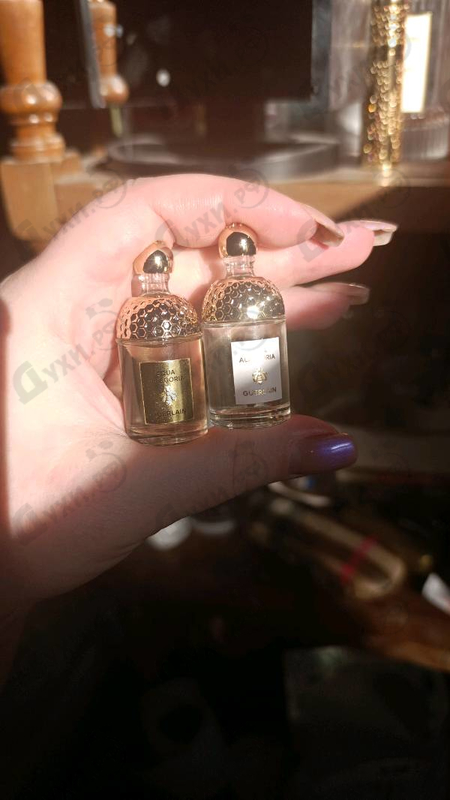 Отзыв Guerlain Aqua Allegoria Mandarine Basilic