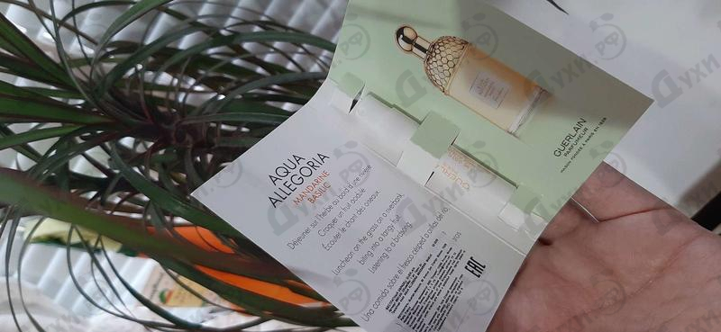 Духи Aqua Allegoria Mandarine Basilic от Guerlain