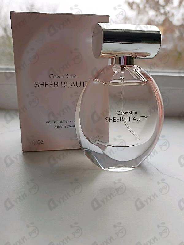 Купить Calvin Klein Sheer Beauty