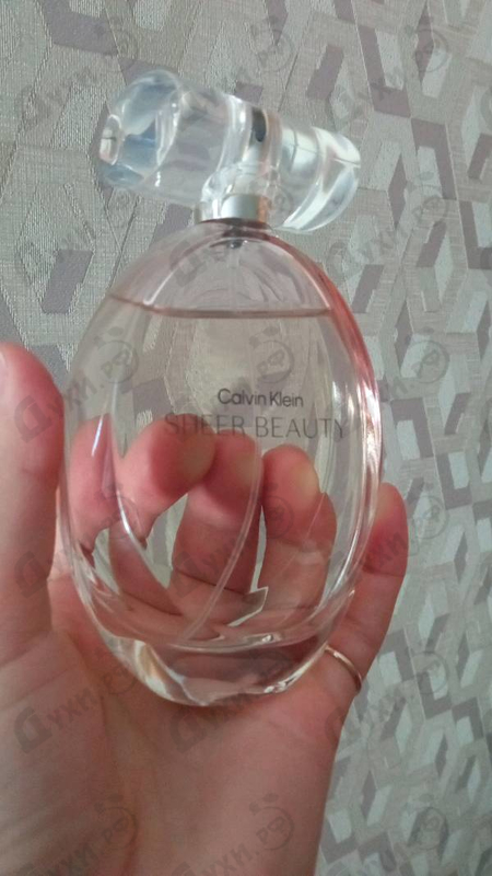 Купить Calvin Klein Sheer Beauty