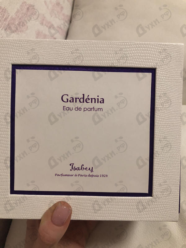 Купить Gardenia от Isabey