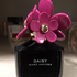 Купить Daisy Hot Pink от Marc Jacobs