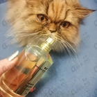 Отзывы Mancera Wave Musk