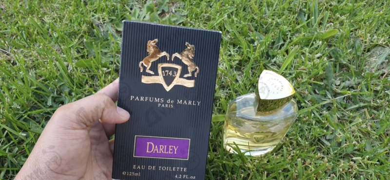 Купить Darley от Parfums de Marly