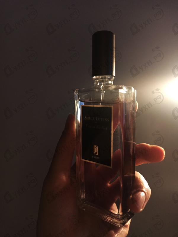 Купить Vitriol D Oeillet от Serge Lutens