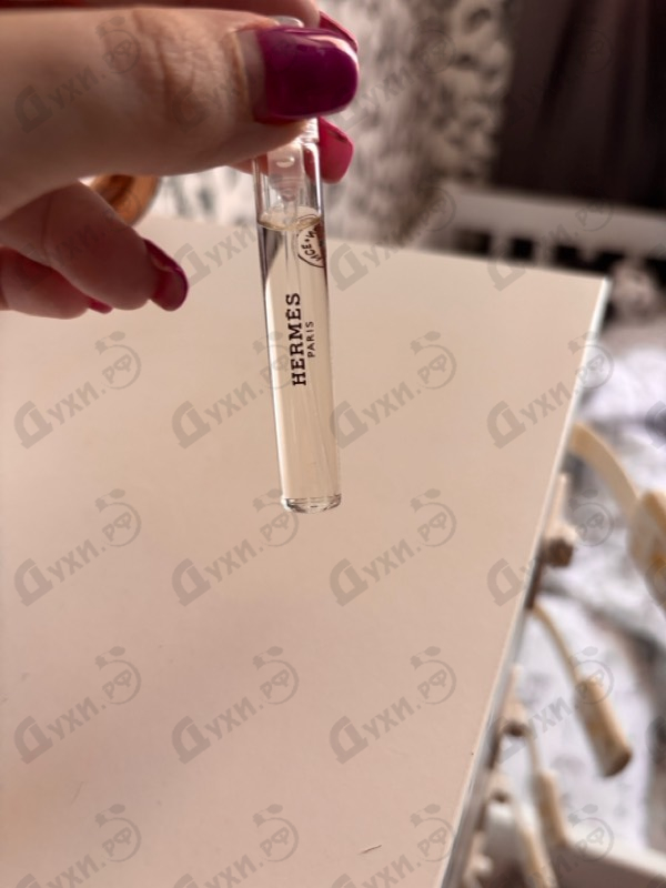 Купить Santal Massoia от Hermes