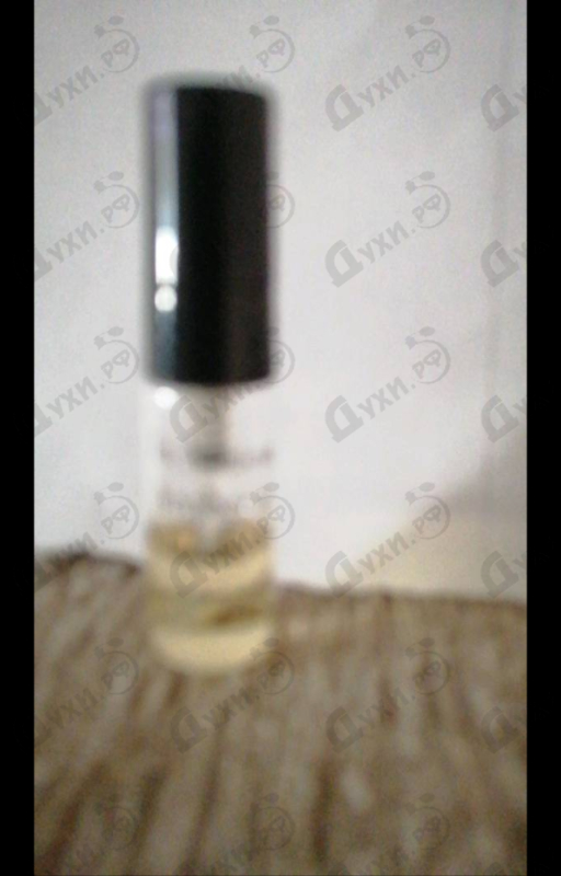 Купить Jo Malone Amber & Patchouli