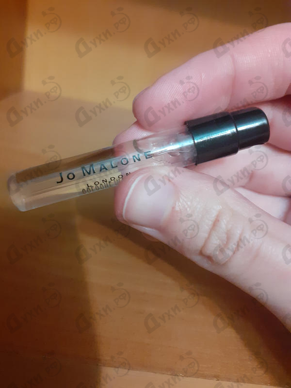 Купить Oud & Bergamote от Jo Malone