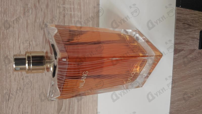 Купить Nilang от Lalique