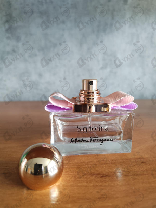 Купить Salvatore Ferragamo Signorina