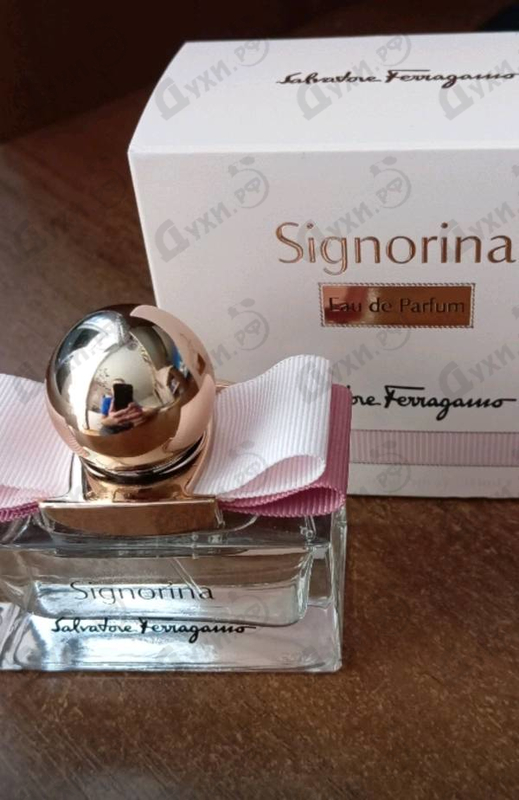 Купить Signorina от Salvatore Ferragamo