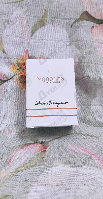Купить Salvatore Ferragamo Signorina