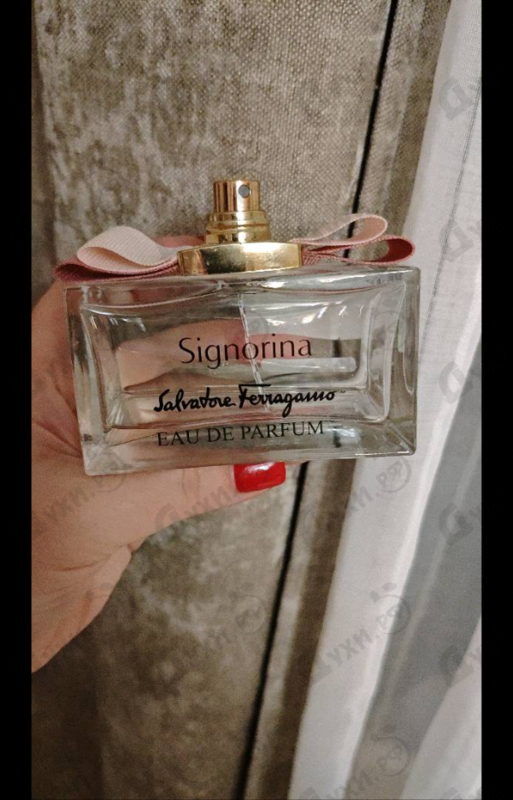 Купить Signorina от Salvatore Ferragamo