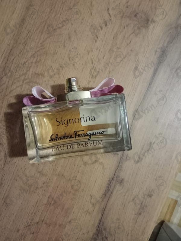 Купить Signorina от Salvatore Ferragamo
