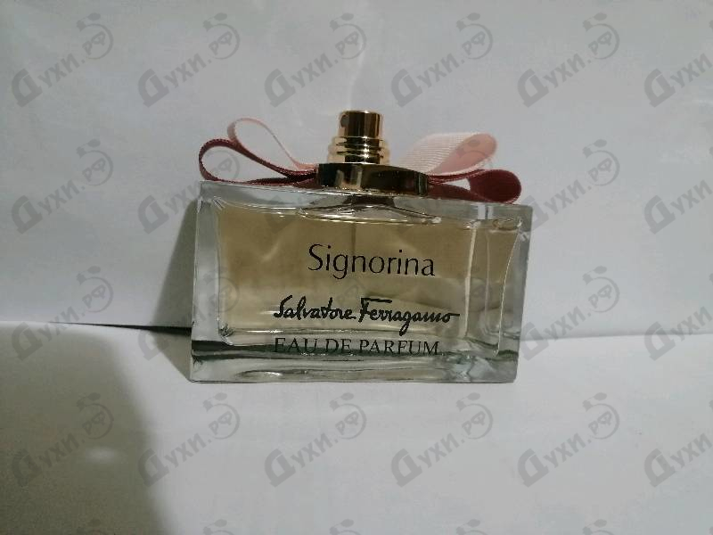 Отзывы Salvatore Ferragamo Signorina
