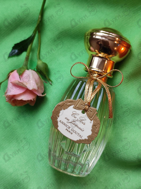 Парфюмерия Annick Goutal Ce Soir Ou Jamais